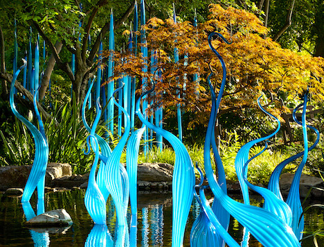 chihuly cobalt teal sculptures, explosion of color, debiriley.com 