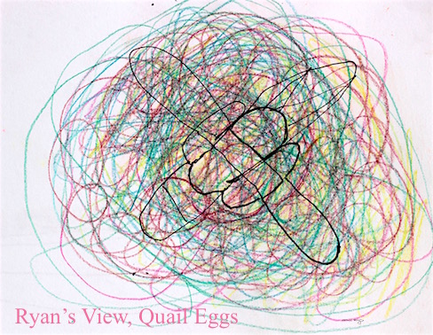 a child's eye, quail egg drawing in color, debiriley.com