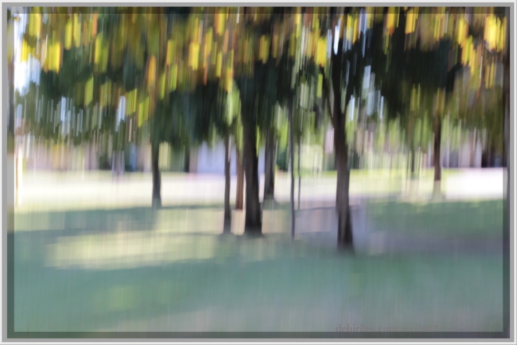 creative photography, conveying the mood and feeling, deliberate camera blur, landscape summers ending, debiriley.com